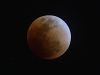 total-lunar-eclipse_thumb.jpg